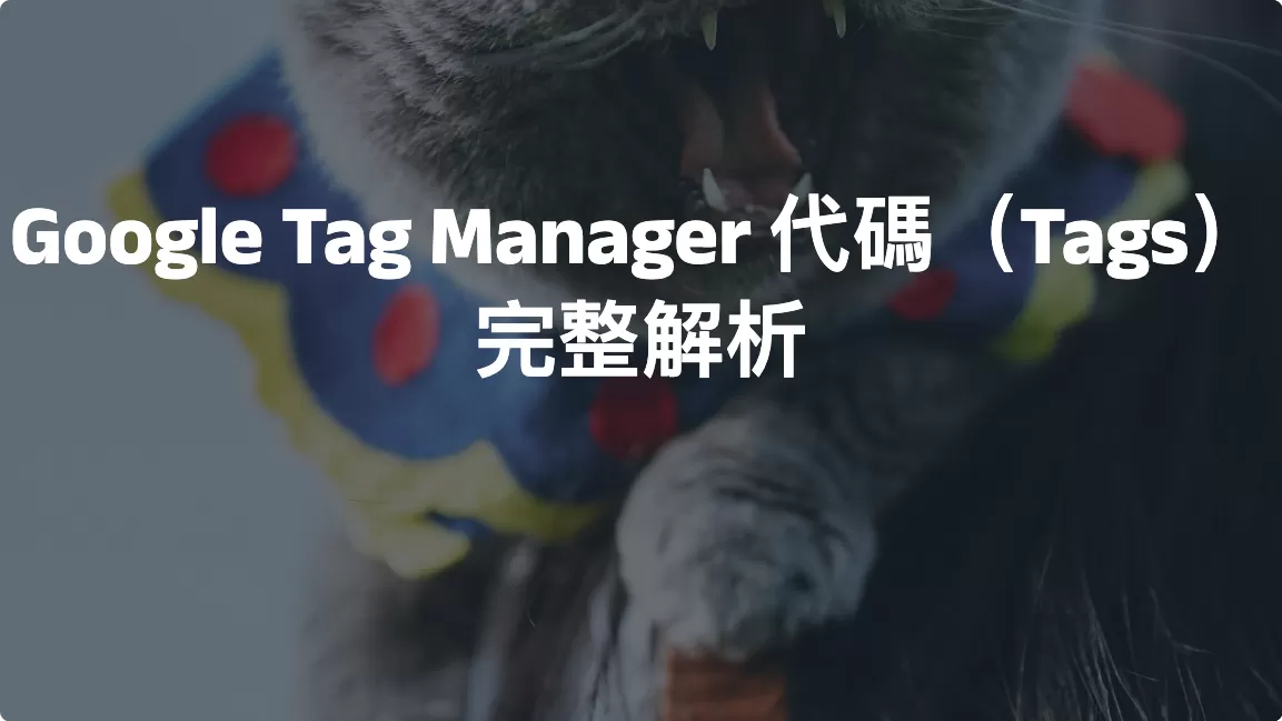 Google Tag Manager 代碼（Tags）完整解析