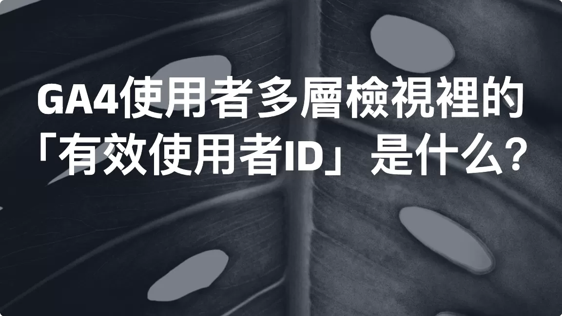 GA4使用者多層檢視裡的「有效使用者ID」是什么？